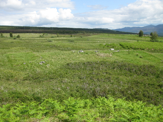 Ruins of Loinn Mheadhonach